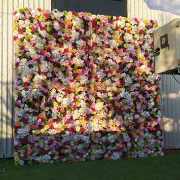 flower wall hire Brisbane